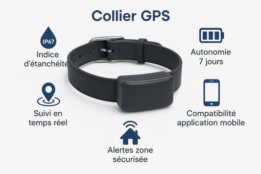 Image 5 - Schéma des fonctionnalités