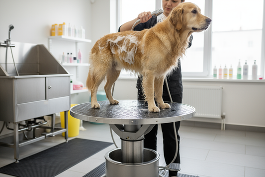 Table de toilettage en utilisation